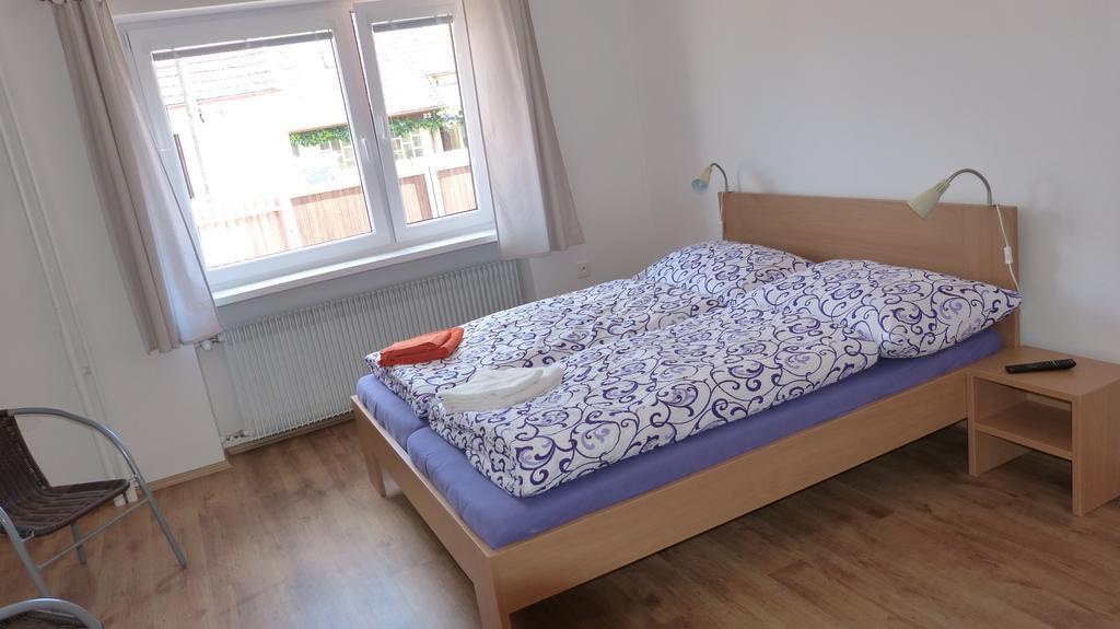 Penzion Pod Jáchymem Dobra Voda  Zewnętrze zdjęcie